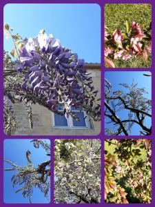 L'Heureux Lay
