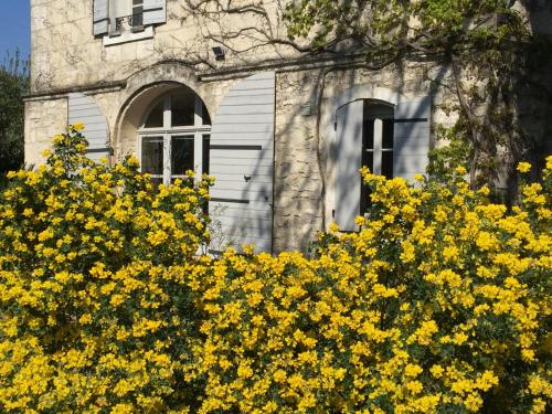 l'Oasis en Provence