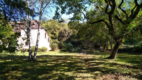 La Caverne du Buisson
