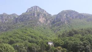 La cigale