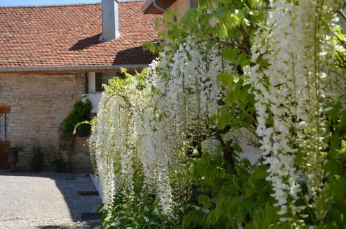 La ferme aux glycines