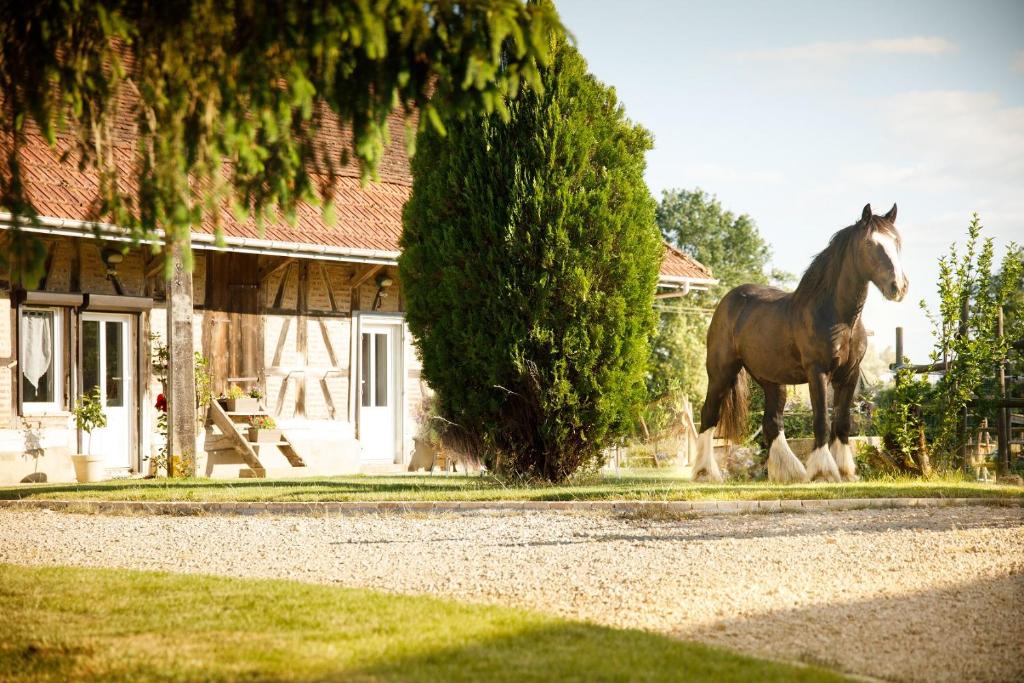 La ferme de la chassagne 6 rue du champ Morey, 71330 Devrouze