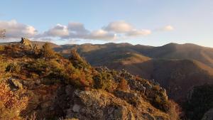 La Fougeraie Dourbies