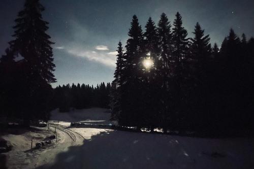 La Loge de la Dolarde - Chambre Nord-Est