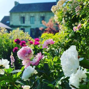 La Maison d'Aline