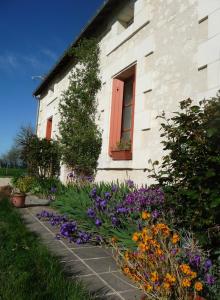 La maison des fleurs
