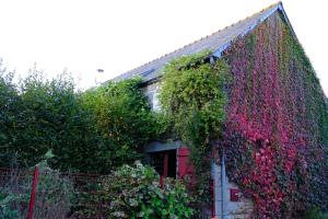 La Maison Jaune à la Janaie