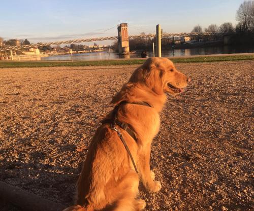 La Roulotte des Bords de Saône