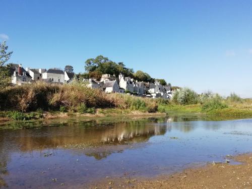 La Sterne de Loire Charming House