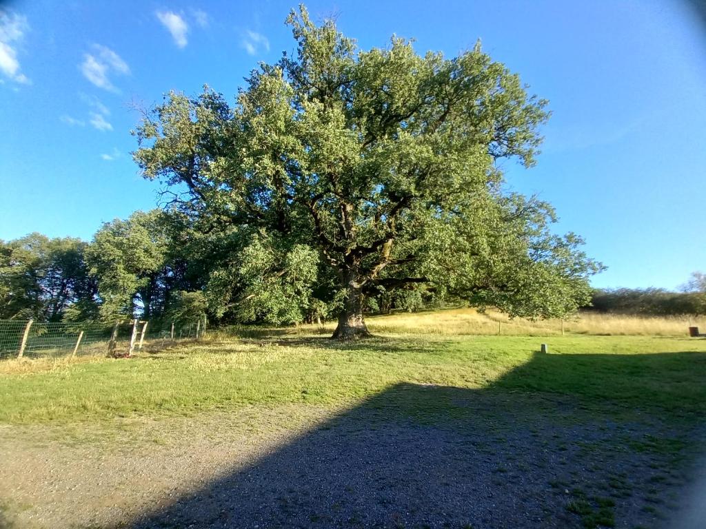 Maison d'hôtes La Tuilerie La Tuilerie 86500 Pindray