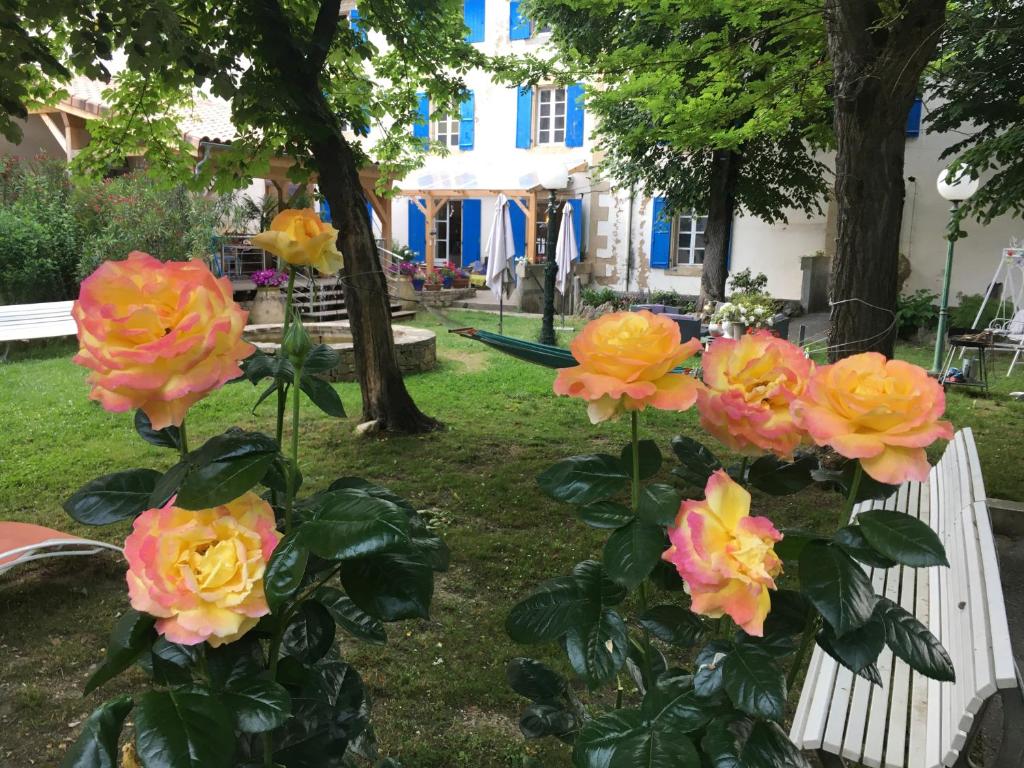 Maison d'hôtes La Vie en Roses 1 Grand-Rue des Thermes 11190 Rennes-les-Bains