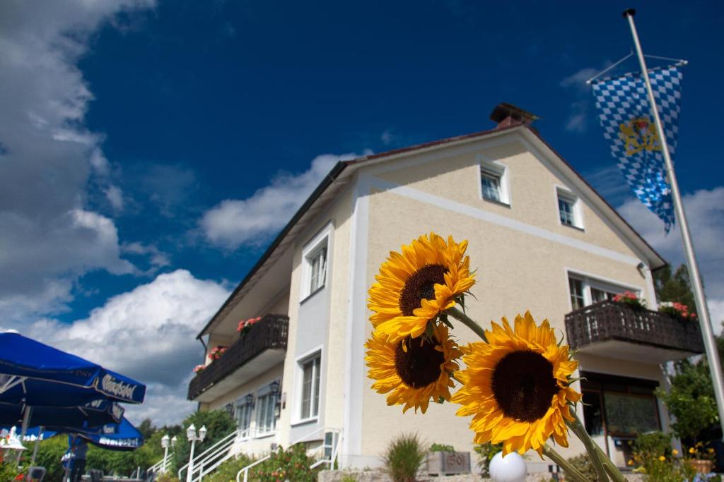 Landgasthof Am Sonnenhang Kaimling - Am Sonnenhang 5, 92648 Vohenstrauß