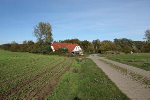 Maison d'hôtes Landhaus Alt Reddevitz Alt Reddevitz 1 A 18586 Middelhagen Mecklembourg-Poméranie