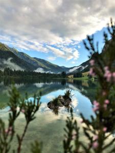 Landhaus am Waldrand