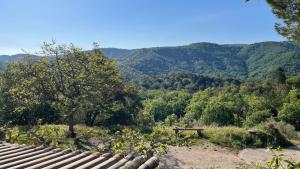 Maison d'hôtes Le Cabanon 252 Impasse des Rigaous 83610 Collobrières Provence-Alpes-Côte d\'Azur