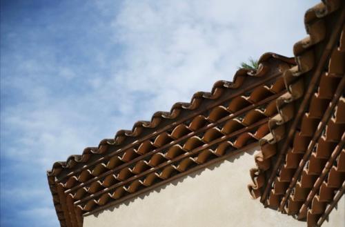 Le Chant des Oiseaux