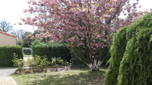Le Clos Sainte Lea