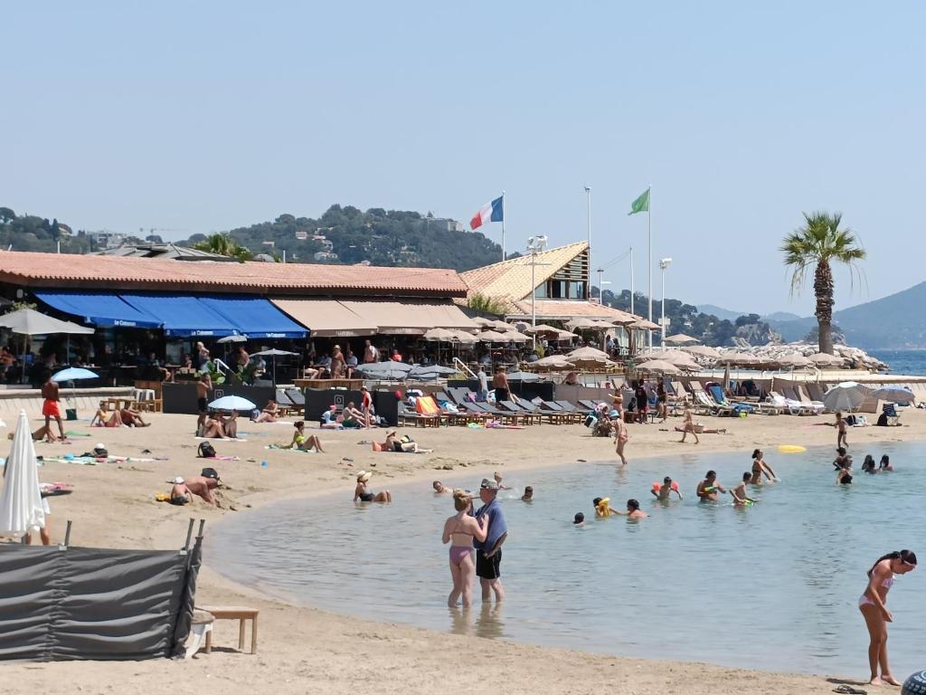 Le Côte d'Azur 312 Boulevard Docteur Cuneo, 83000 Toulon