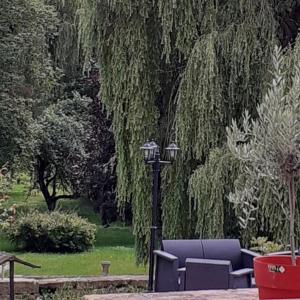 Le Domaine d'Élise Chambres et table d'hôtes - Vosges