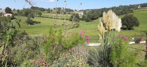 Le Domaine de la plume