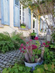 Le Domaine De Pairis