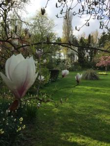Le Domaine des Loups