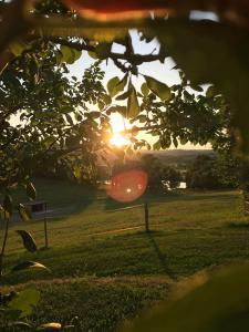 Le Domaine des Terres Blanches
