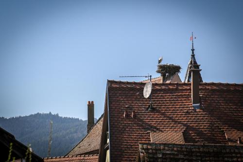 Le Hameau d'Eguisheim - Chambres d'hôtes & Gîtes