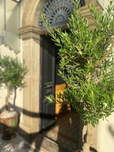 Le Jardin