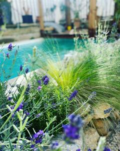 Le Jardin