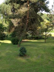 le jardin d Eau