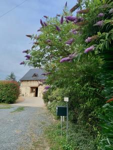 Maison d'hôtes Le Logis de la Chouette Le Grand Mandon 49150 Baugé Pays de la Loire