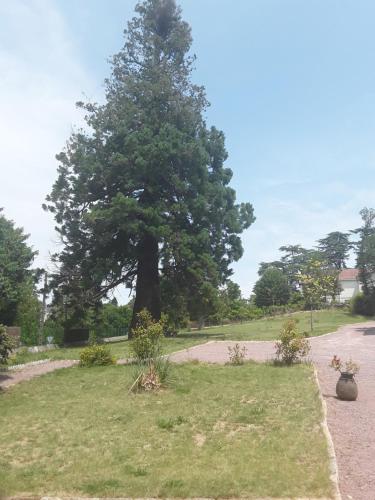 Le Manoir Sequoia