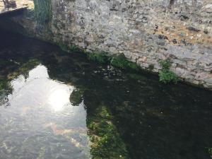 Maison d'hôtes Le moulin de la côte chambre d'hôtes 8 Route de Jouy 27930 Saint-Vigor Normandie