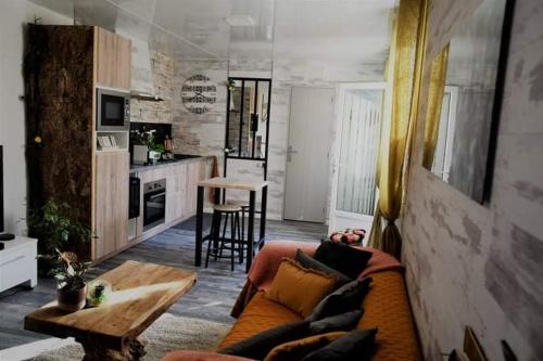Le Néflier Dijon - appart jacuzzi-SPA romantique pour 2