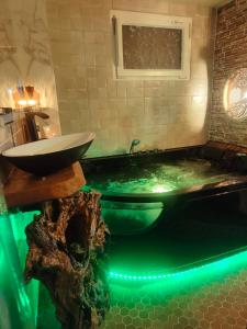 Le Néflier Dijon - appart jacuzzi-SPA romantique pour 2