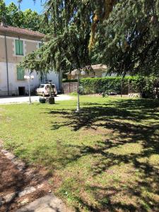 Le Parc aux Cedres