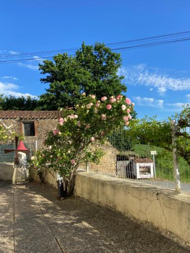 Le petit moulin