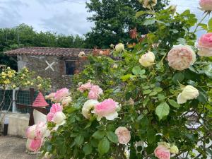 Le petit moulin