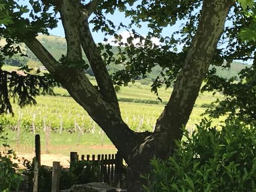 Le Relais de Scisse