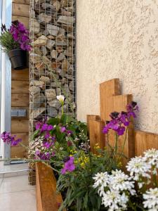 Maison d'hôtes Le Studio de l'Olivier ZAC ECO SEINE - Route des Andelys 27940 Courcelles-sur-Seine Normandie