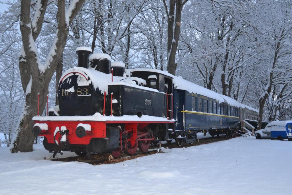 Le Train Des Reves 3 Allée de la Gare, 71400 Dracy-Saint-Loup