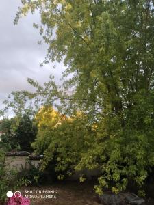Les grandes chambres du Lavoir