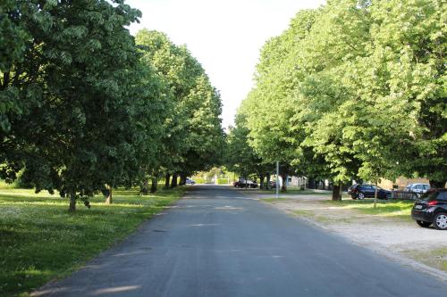LES TRESORS DE LIZZIE