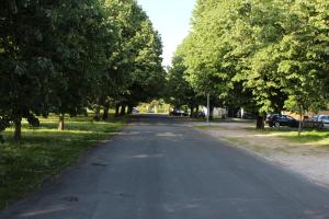 LES TRESORS DE LIZZIE