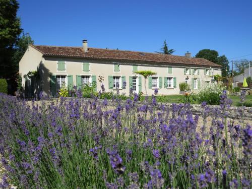 Les vieilles pierres