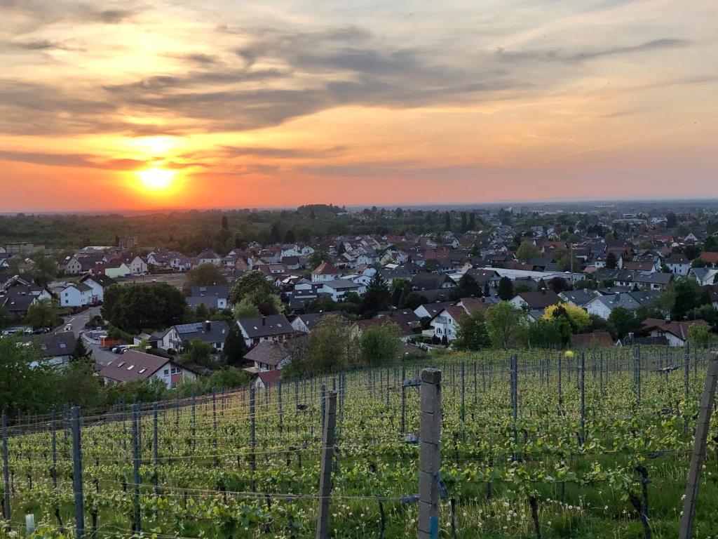 Linde Oberachern 11 Johannesstraße, 77855 Achern