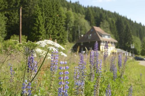 Löffelschmiede Hotel & Restaurant am Titisee / Feldberg