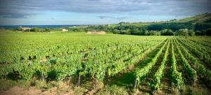Love Room du Pavillon Gite indépendant avec SPA à 50 min de Lyon dans le Beaujolais