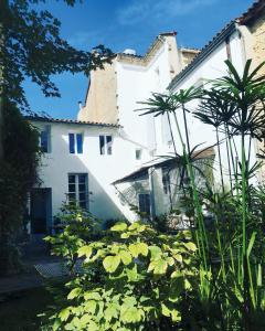 Maison d'hôtes MAISON MATEJEWSKI chambre d'hôtes avec jardin 21 Rue Jaufre Rudel 33390 Blaye Aquitaine